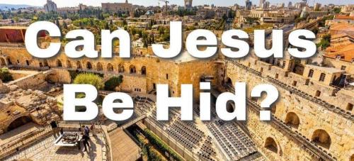 8104cab4-a306-4f7d-9065-648d2463646c