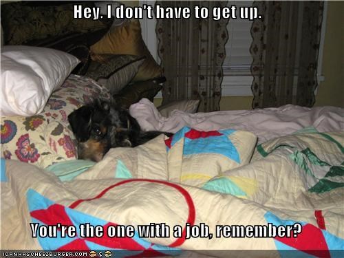 hey-i-dont-have-to-get-up-youre-the-one-with-a-job-remember