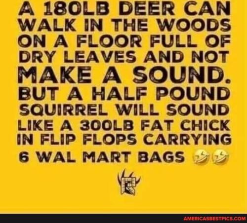 78b59973b8224a595c5a7ab11490f4acf8cd3a3a128e28520811fc0d51b66444_1