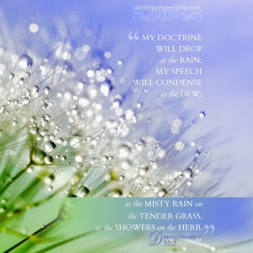 deu-32-2-WEB-pixabay-9x