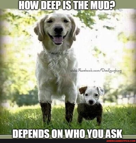 ca5f33f232ef4a446acfa38c665db05bee00725e8d71db32667acc49986fc39f_1