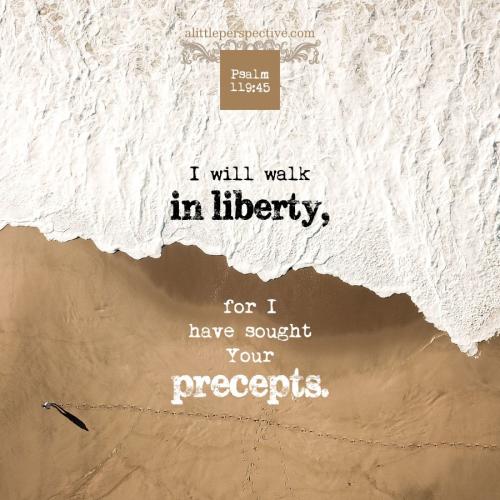 psa-119-45-WEB-unsplash-9x