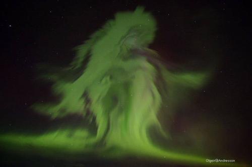 ,     ,     0 422263412_34196972870