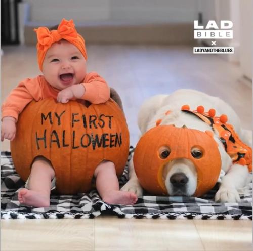 F5747B36-39FC-43FD-880D-7D290DF8AF65