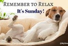 491173971799518895_1471336766