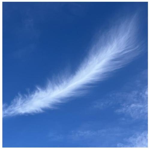 ccb15c5e-0667-4bea-a2d3-562a37d9c97d