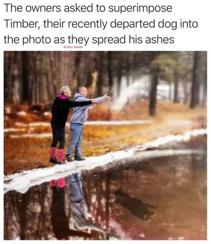 9F64B387-0B55-4E8B-8C1F-4A0AC204C377