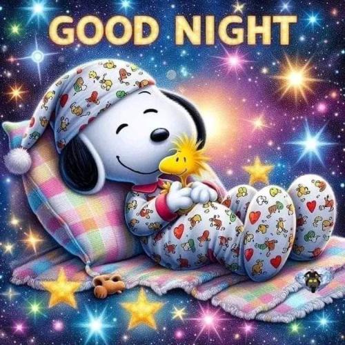 FB_IMG_1729220132266