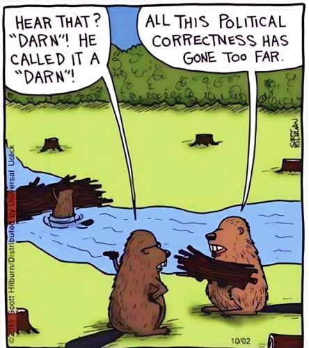 political correctness