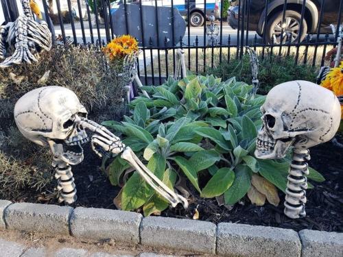 image_BC6B6A4C-FCEC-454F-A936-A36C439A6F92