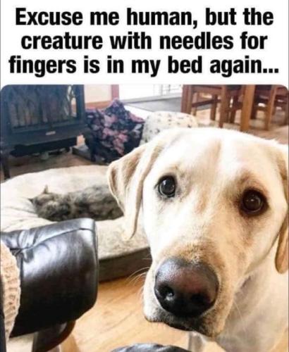 B36CEABD-FDBA-4DA5-9BBE-C7A73BE6B5F6