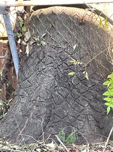 48102A3F-F319-4F3D-812A-D7A70CB40DD1