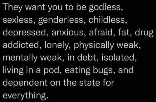 image_2024-10-27_094230514