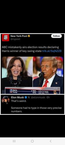 Screenshot_20241031_142737_Wimkin Free Speech Social Media