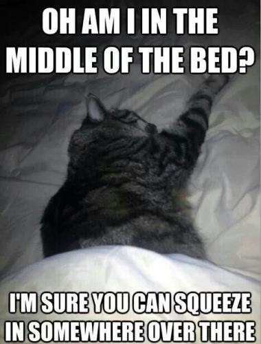 01e8488b229b163cca00a60df79a54d0