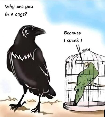 5a990c5a-83b4-4fa9-ada9-66ea4aaf2ccd