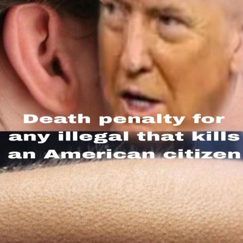 photo_2024-10-28_17-24-37