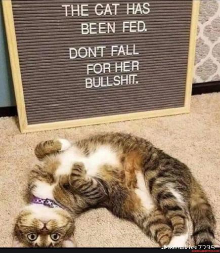 6694602e7fa19dfb77162dac663c7966bea04efa8018f61f91bb44721ce9a453_1