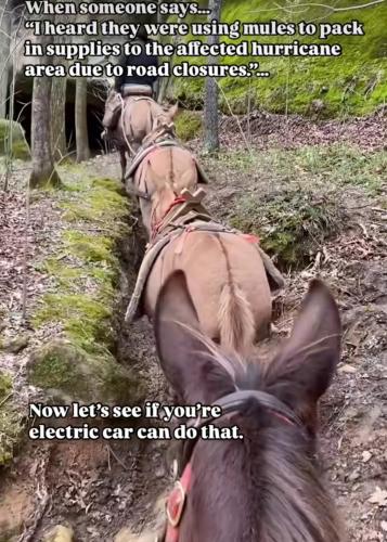 Screenshot_20241005_235503_Instagram