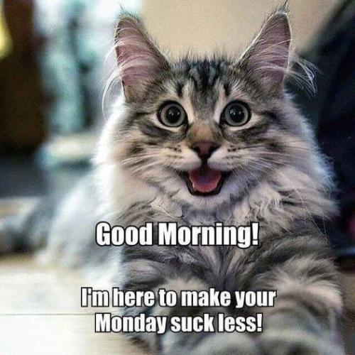 c1e6f30dd81868a7713d6b82603115f8