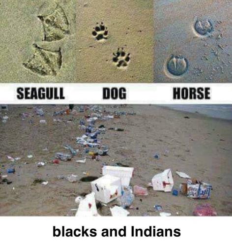 IMG_20241016_062122_645