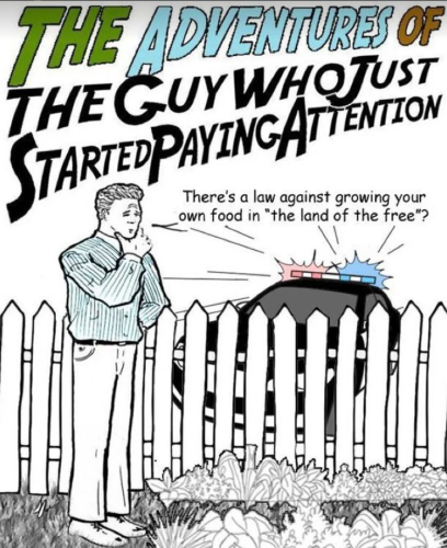 Screenshot 2024-10-14 181318