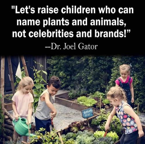 FB_IMG_1729968853618