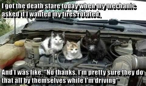 be7752786ca6240f21d7ce8a596556a7