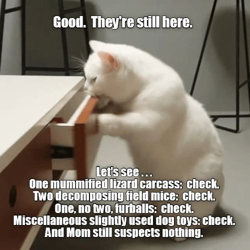 1aa1e8063972d692ed5299b9c99b75bd