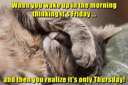 when-you-wake-up-in-the-morning-thinking-its-friday-and-then-you-realize-its-only-thursday