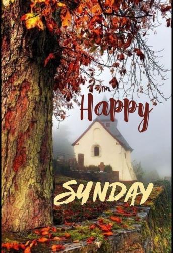 fall morning sunday 3