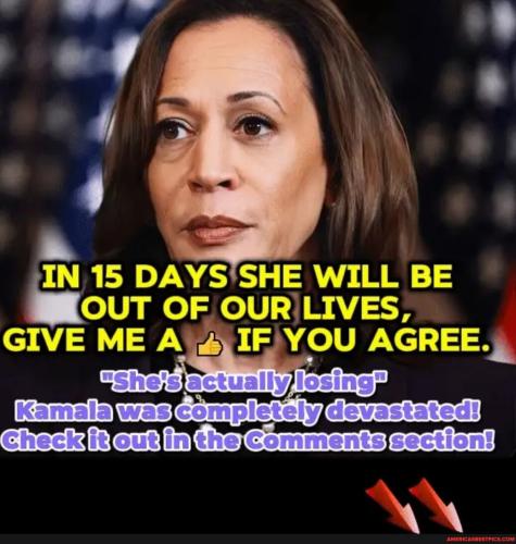 bc0a63cf95c9b78c48eda459724d3b704bd103bf5c03bb79171308b17402d931_1