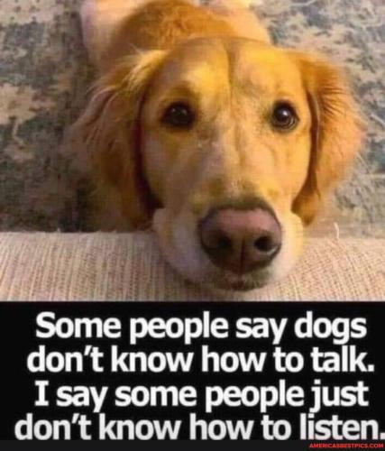 c0bbf6d9227e3919d9fce3d0d711efe306b741f357aba414a401692ae3e6bb69_1