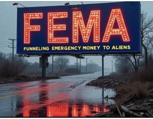 Screenshot_20241006_113705_Facebook