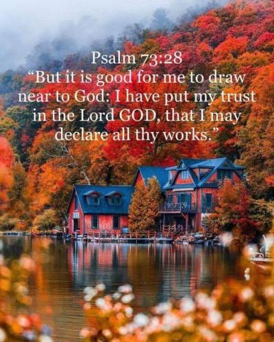 2088cef8-a13d-45ee-8a41-2da99bff079b