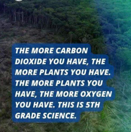 image_2024-10-10_062318696