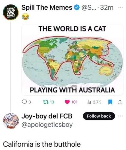 image_93DE078B-D4B6-45C7-8373-2915766E006A