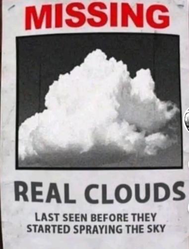 Screenshot_20241022_011316_TikTok