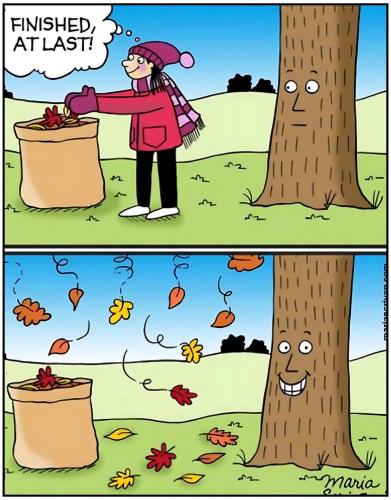 9AA2B0B6-D4C2-4CFF-93BB-09C6E9708972