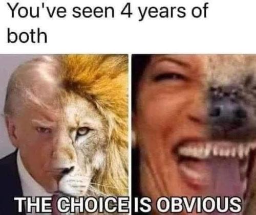 Messenger_creation_69CAFF3A-4050-4F2E-B765-1B275E65436A