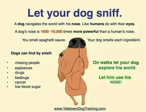 394ebb12d99f308bfd8e28b601e44a5a