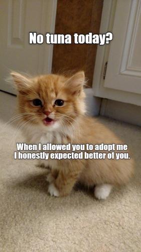 ac70741a17f657446e4bbaa4a04141d3