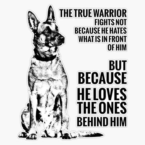 71G22+yoo4L._AC_UF894,1000_QL80_FMwebp_