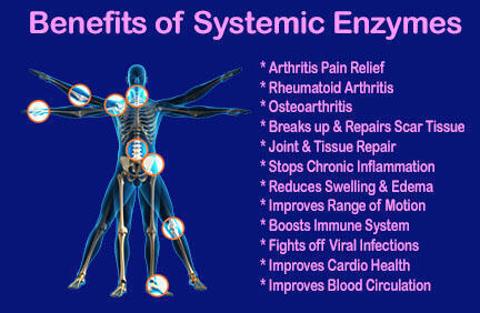 Heal n Soothe systemic enzymes benefits