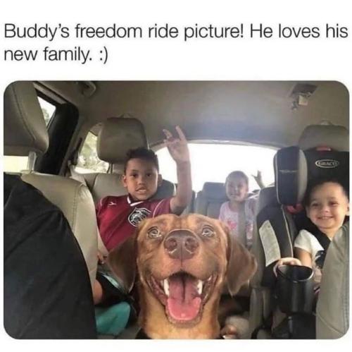 buddys-freedom-ride-picture-he-loves-his-new-family-gracy