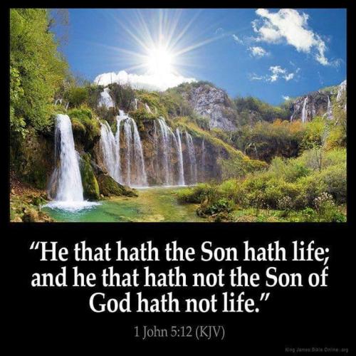 1c4e5683-ba00-4653-8491-db1290cf5283