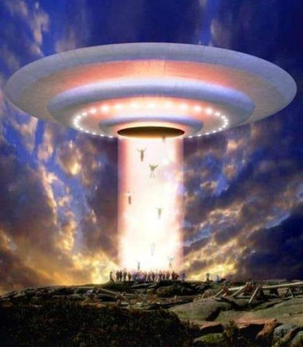 ,                             ,     ,