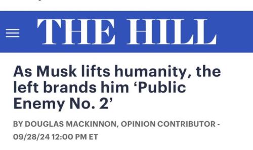 musk public enemy libs