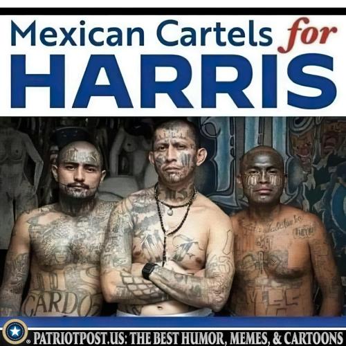 Cartels for Harris