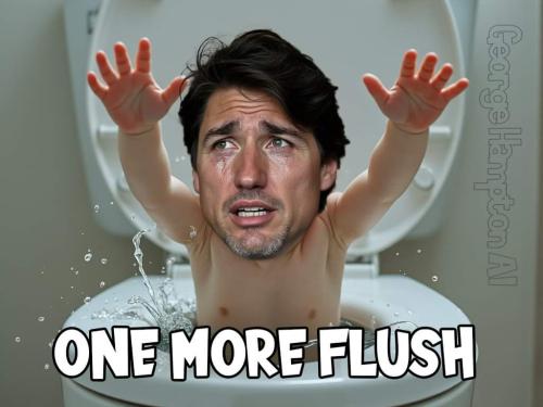 one more flush